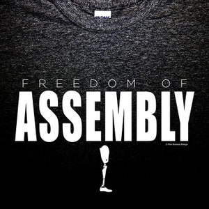 Freedom of Assembly AK