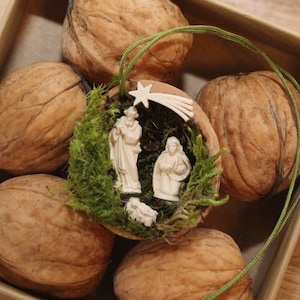 Può includere: Un piccolo ornamento di presepe fatto di legno e muschio, all'interno di un guscio di noce. L'ornamento è circondato da altri gusci di noce in una scatola marrone.