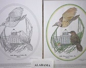 Alabama - Black Line Drawing Limited Edition Bundle