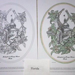 Florida Black Line Drawing Limited Edition Bundle image 1