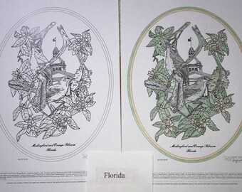 Florida - Black Line Drawing Limited Edition Bundle