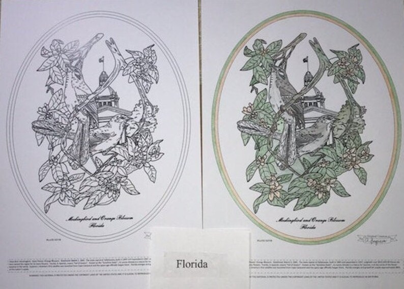 Florida Black Line Drawing Limited Edition Bundle image 1