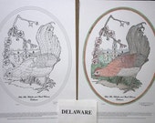 Delaware - Black Line Drawing Limited Edition Bundle