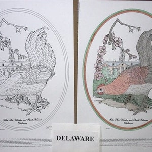 Delaware Black Line Drawing Limited Edition Bundle image 1