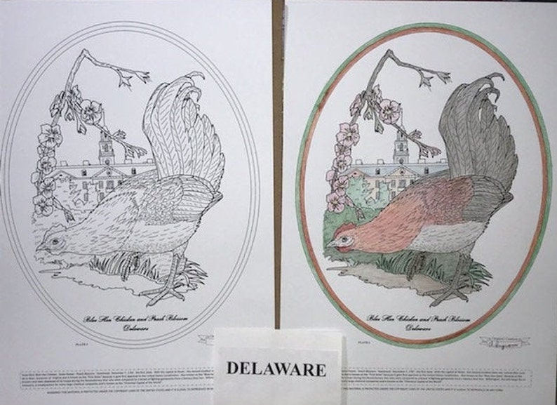 Delaware Black Line Drawing Limited Edition Bundle image 1