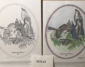 Texas - Black Line Drawing Limited Edition Bundle