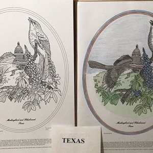 Texas Black Line Drawing Limited Edition Bundle image 1