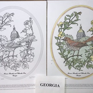 Georgia Black Line Drawing Limited Edition Bundle image 1