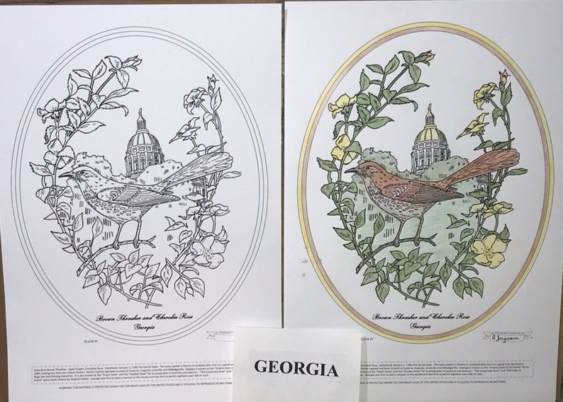 Georgia Black Line Drawing Limited Edition Bundle image 1