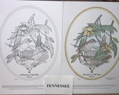 Tennessee - Black Line Drawing Limited Edition Bundle