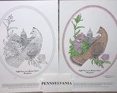 Pennsylvania - Black Line Drawing Limited Edition Bundle
