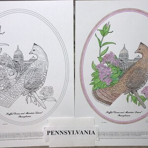 Pennsylvania Black Line Drawing Limited Edition Bundle image 1