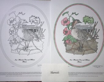 Hawaii - Black Line Drawing Limited Edition Bundle