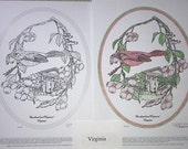 Virginia - Black Line Drawing Limited Edition Bundle