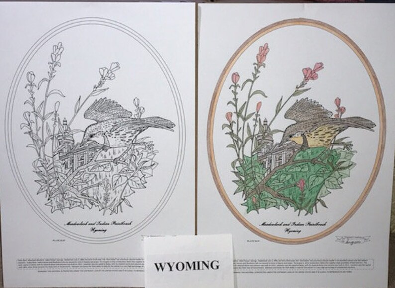 Wyoming Black Line Drawing Limited Edition Bundle image 1