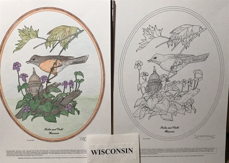 Wisconsin Black Line Drawing Limited Edition Bundle image 1
