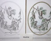 Maine - Black Line Drawing Limited Edition Bundle