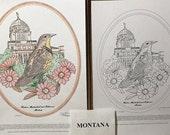 Montana - Black Line Drawing Limited Edition Bundle