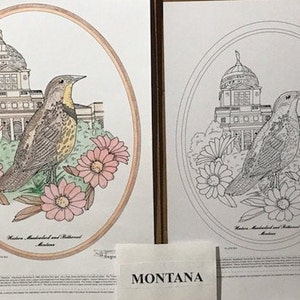 Montana Black Line Drawing Limited Edition Bundle image 1