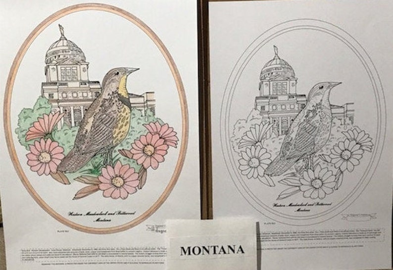 Montana Black Line Drawing Limited Edition Bundle image 1