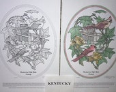 Kentucky - Black Line Drawing Limited Edition Bundle