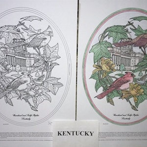 Kentucky Black Line Drawing Limited Edition Bundle image 1