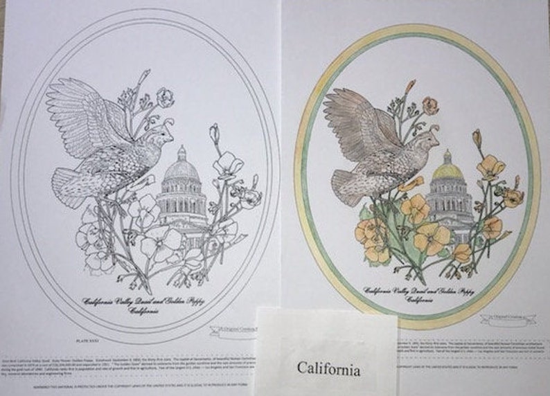 California Black Line Drawing Limited Edition Bundle image 1