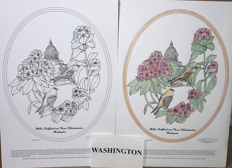 Washington Black Line Drawing Limited Edition Bundle image 1