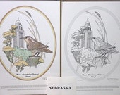 Nebraska - Black Line Drawing Limited Edition Bundle