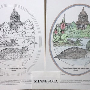 Minnesota Black Line Drawing Limited Edition Bundle image 1