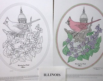 Illinois - Black Line Drawing Limited Edition Bundle