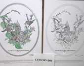 Colorado - Black Line Drawing Limited Edition Bundle