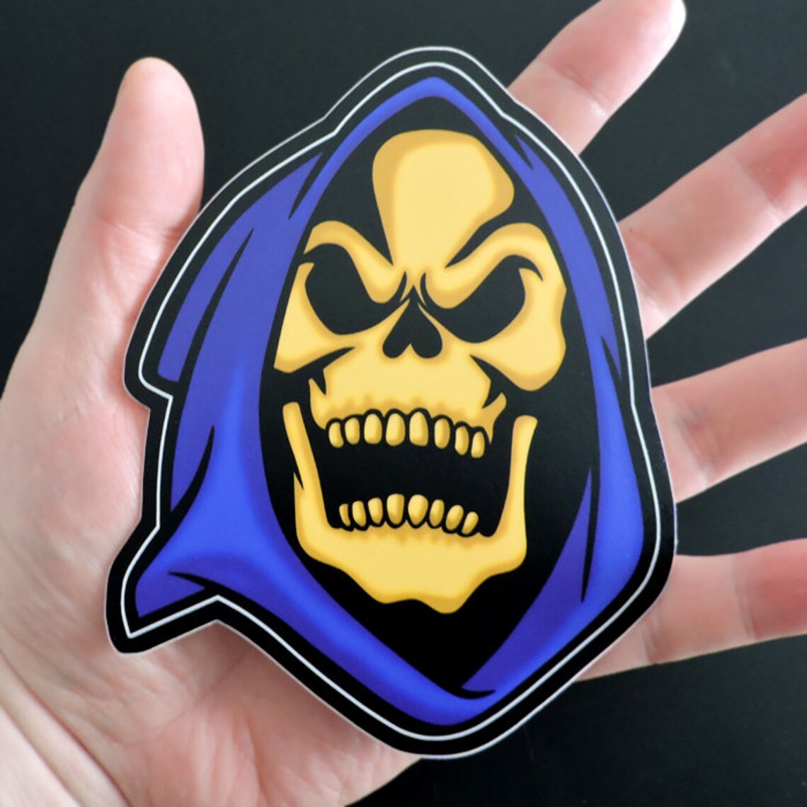 Skeletor & His Power Sword 80s Retro Cartoon Vinyl Art | Etsy