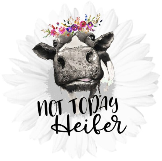 not-today-heifer-waterslide-image-svg-files-cricut-etsy