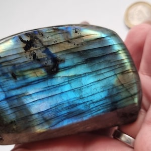 Könnte beinhalten: Ein polierter Labradoritstein mit einem lebendigen Schimmer in Blau, Grün und Gold. Der Edelstein wird in einer Hand gehalten, wodurch seine glatte, abgerundete Form und die natürlichen Muster hervorgehoben werden. Ein einzigartiger Kristall für Sammler.