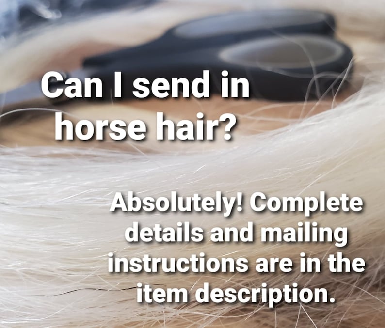 Peut inclure: Gros plan sur des poils de cheval blancs avec le texte "Puis-je envoyer des poils de cheval ? Absolument ! Les d&eacute;tails complets et les instructions d'envoi se trouvent dans la description de l'article."