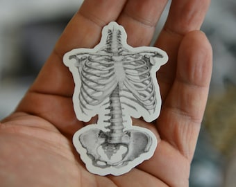 Skeleton Sticker Medical Scrub Life Pink Sticker - Nursing Sticker - Nurse Life - Gift for ...