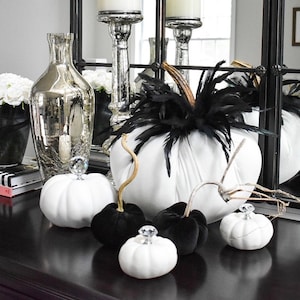 Velvet Pumpkin with Feathers in Cream with Black Feathers and a Real Stem,Sold Individually
