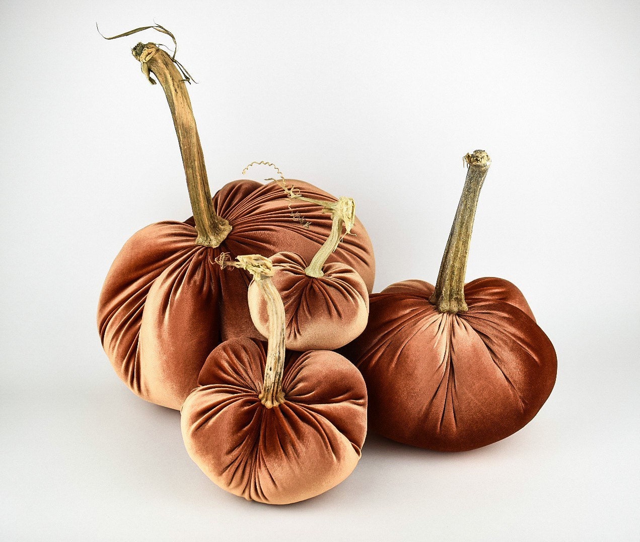 Velvet Pumpkin in Copper with a Real Stem