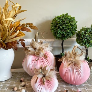 Velvet Pumpkin with Feathers in Blush with Cream Feathers and a Real Stem,Sold Individually