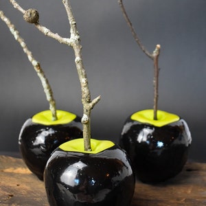 Permanent Poison Apple,Sold Individually