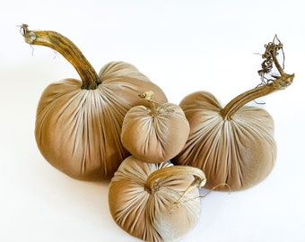 Sand Velvet Pumpkins