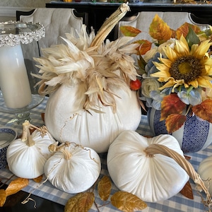 Velvet Pumpkins with Rooster Schlappen Feathers