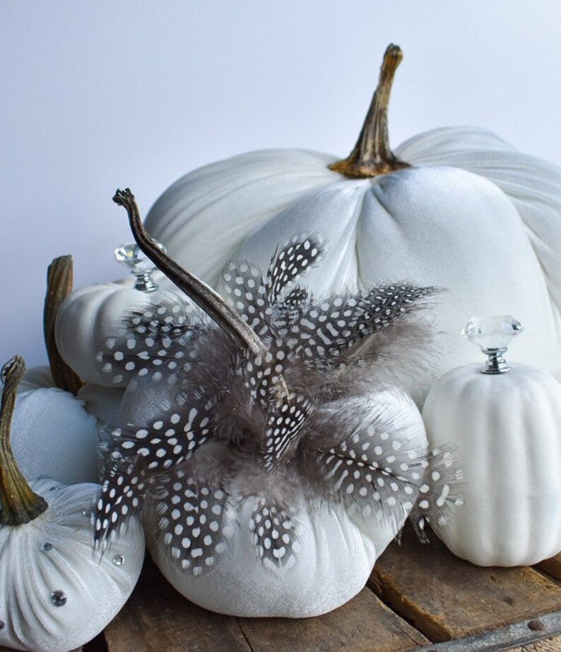 ThePermanentGarden Pumpkin