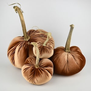 May include: Three velvet pumpkins in shades of brown. The largest pumpkin has a long stem and is the darkest brown. The smallest pumpkin is the lightest brown and sits in front of the other two.
