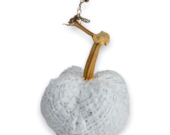 White and Silver Tweed Pumpkin with Real Stem