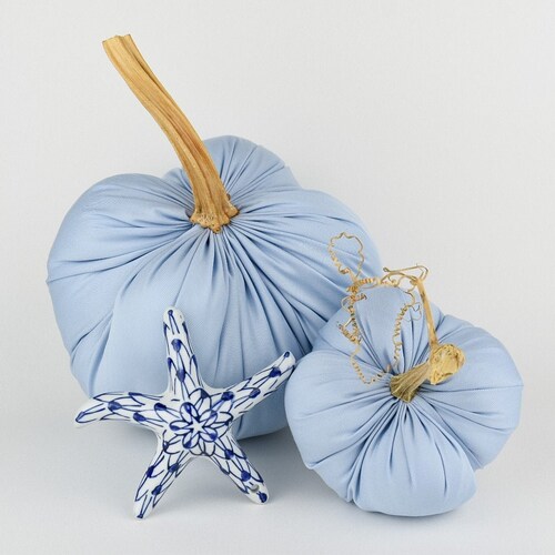 Coastal Chambray Pumpkin with Real Stems