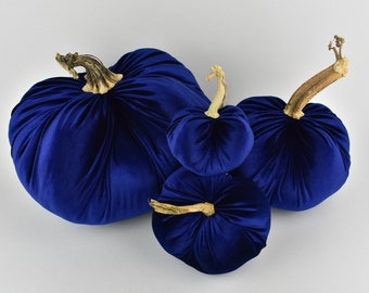 Velvet Pumpkin in Navy with a Real Stem