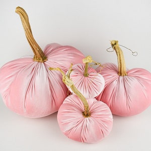 Blush Velvet Pumpkin with a Real Stem, Fall Decor,Sold Individually