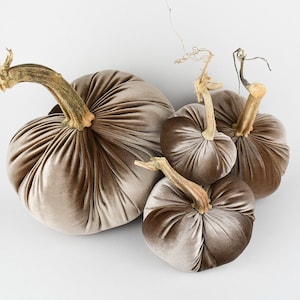 Champagne Velvet Pumpkin with a Real Stem, Fall Decor,Sold Individually